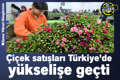 Çiçek satışları Türkiye’de yükselişe geçti