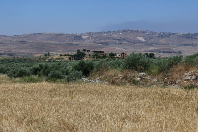 İsrail askerleri, Lübnan'da işgal altındaki bölgelerde çiftçileri ateş açarak hasattan mahrum bırakıyor
