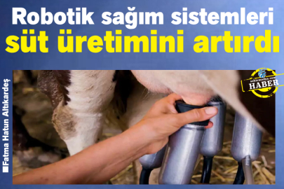 Robotik sağım sistemleri süt üretimini artırdı