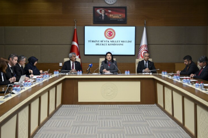 Meclise "kadınlar da askere alınsın" başvurusu