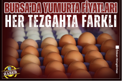 Bursa’da yumurta fiyatları her tezgahta farklı 