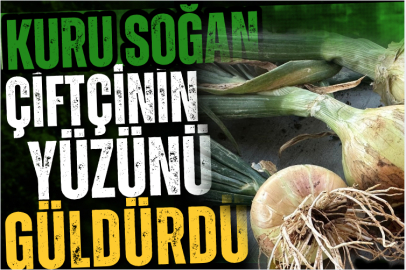 Kuru soğan çiftçinin yüzünü güldürdü