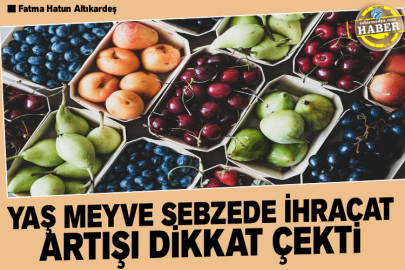 Yaş meyve sebzede ihracat artışı dikkat çekti