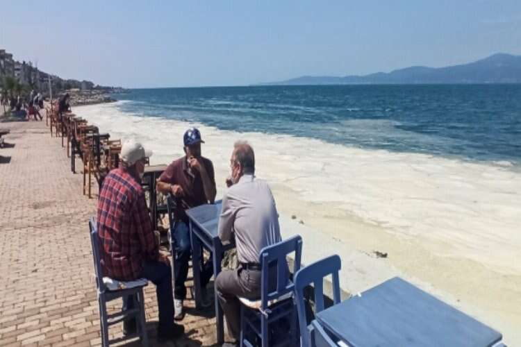 Bursa'da müsilaj manzaralı sahil keyfi