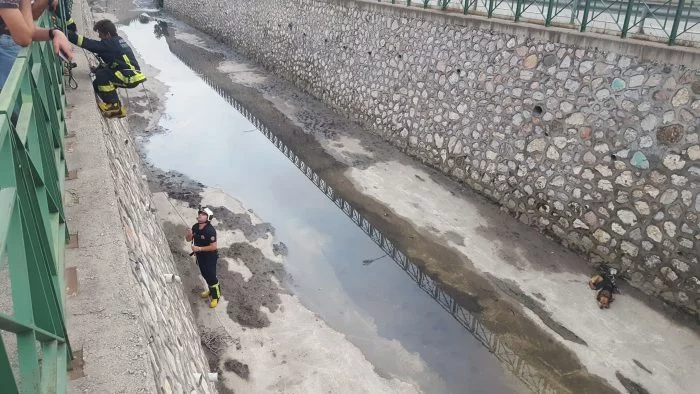 Köpek su kanalında mahsur kaldı