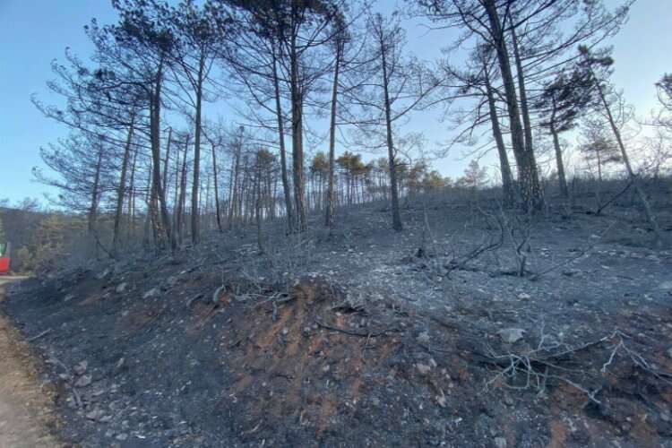 Bursa'daki orman yangını 18 saatlik müdahalenin ardından kontrol altına alındı