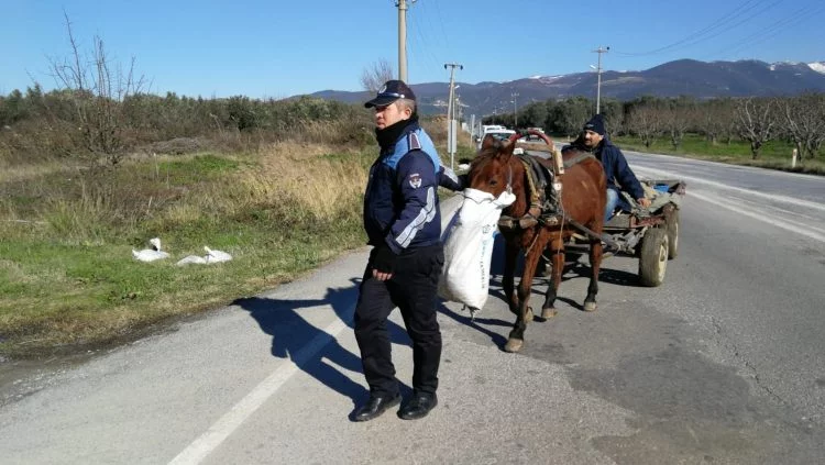 Bursa'da sürücüsüz at arabası paniği