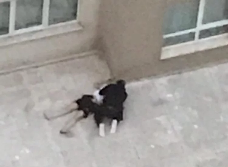 Bursa'da talihsiz bir kadın 4. kattan düştü! Erkek arkadaşı başında ağıt yaktı 'Ne olur ölme'