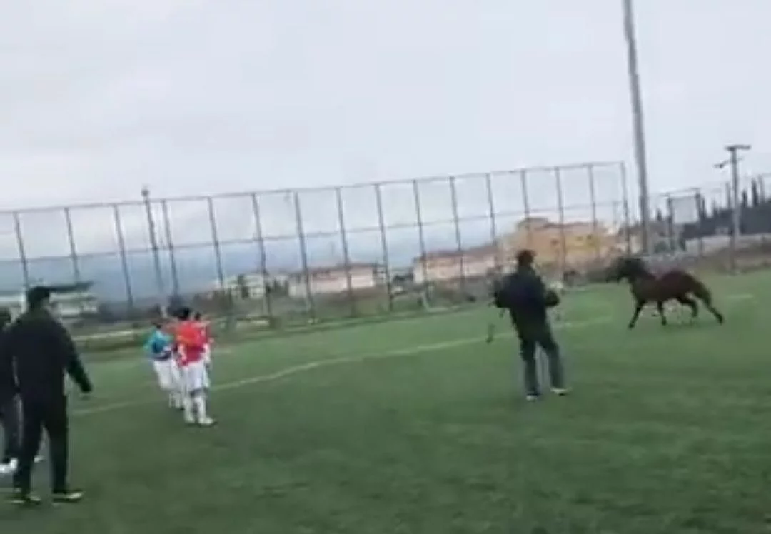 Bursada futbol turnuvası sırasında sahaya at girdi!