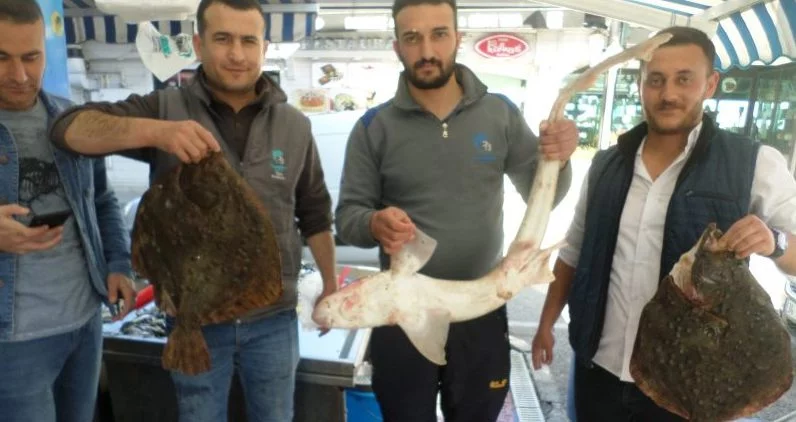 Bursa'da balıkçıların yüzü gülüyor!