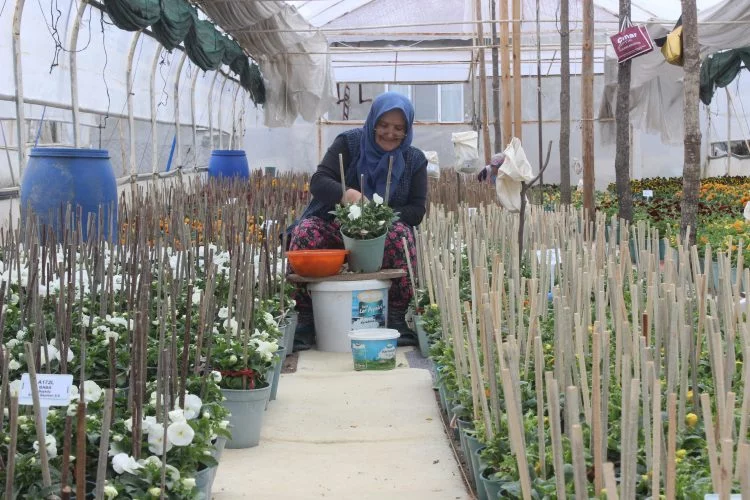 Bursa'nın dağ köylerinde kadınlar dünyaya tohum ihraç ediyor