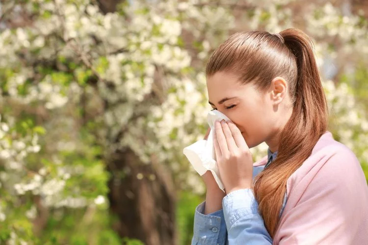 Bursa'da polen alerjisi olanlar için önemli hizmet!