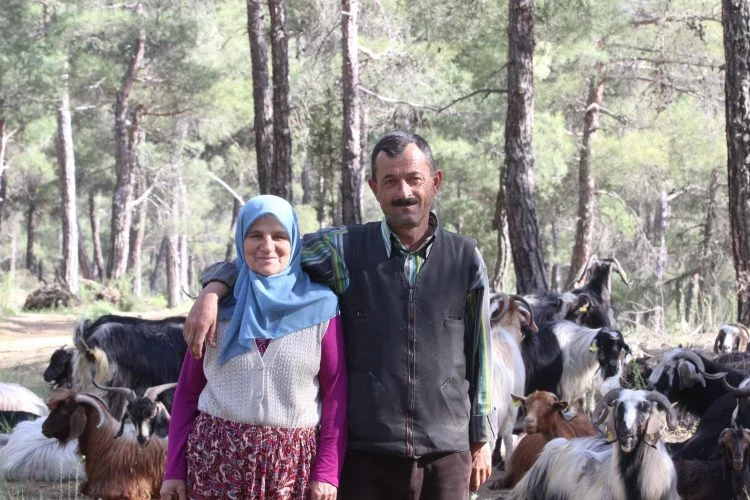 Bu çoban çift 32 yıldır Bursa dağlarında yaşıyor