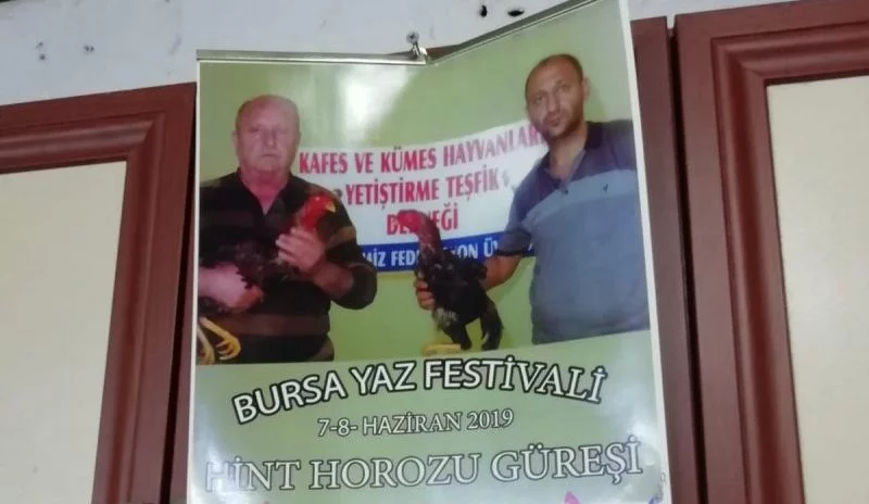 Bursa'da hayvan derneğinde horoz dövüşü skandalı