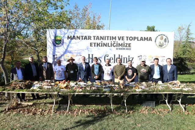 Türkiye’nin mantar avcıları Bursa’da buluştu