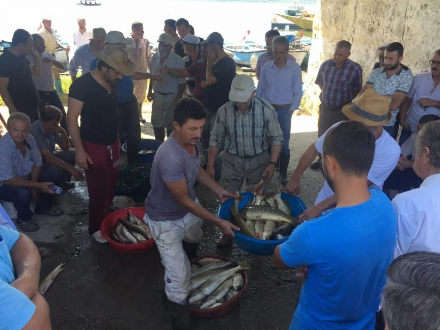 Uluabat Gölü'nden avlanan balıklar açık arttırmayla satılıyor