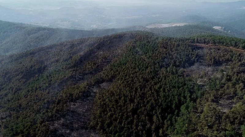 Bursa'da saatlerce süren yangın sonrası orman havadan görüntülendi