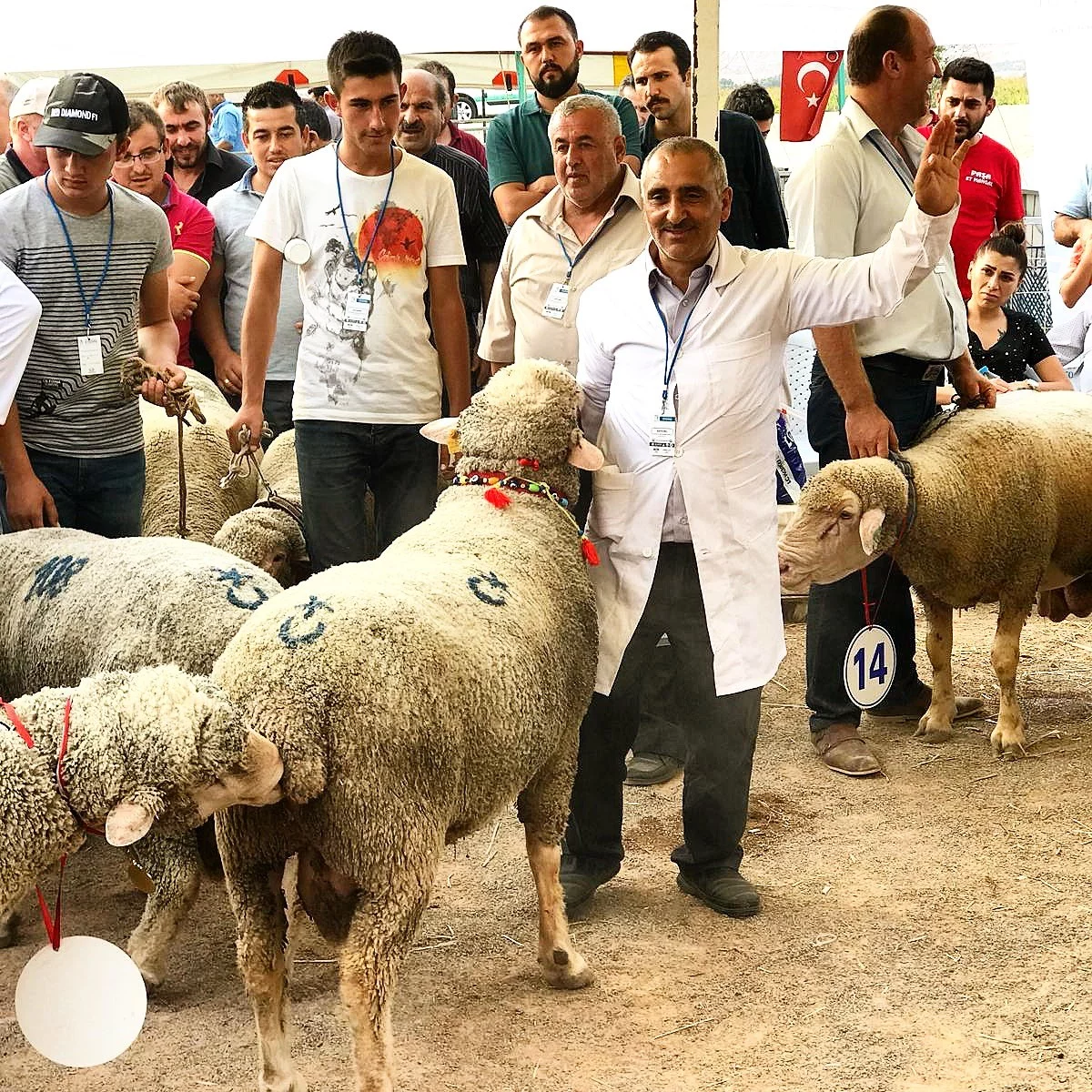Türkiye'nin çobanları bu fuarda buluşuyor