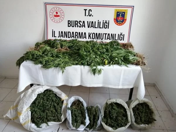 Jandarma ekiplerinden uyuşturucu tacirlere 12 ayrı operasyon