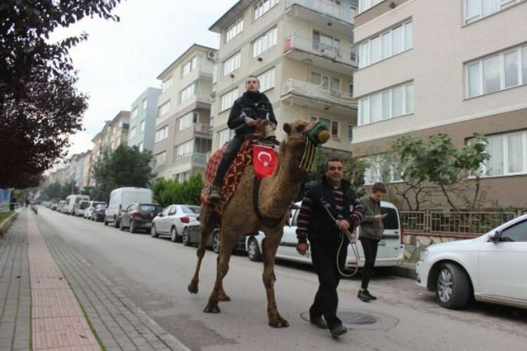 Bursa sokaklarında deve şaşkınlığı