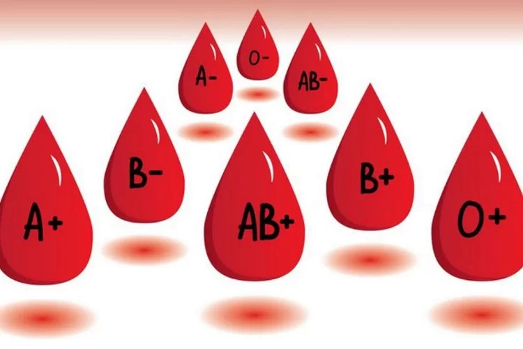 A ve AB kan grupları kansere yatkın