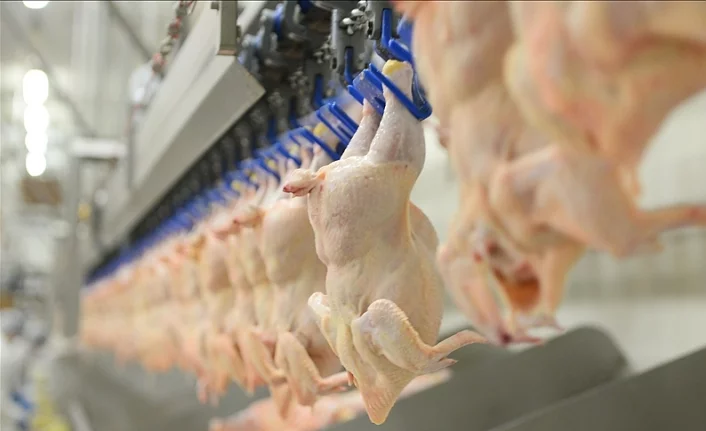 Beyaz et ihracatı yüzde 353 arttı