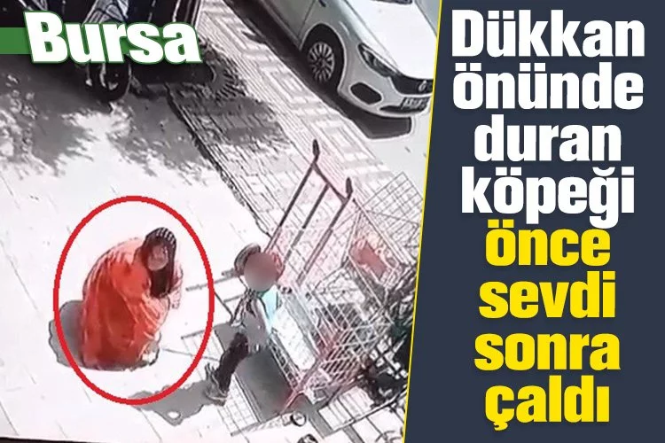 Bursa'da dükkan önünde duran köpeği önce sevdi sonra çaldı
