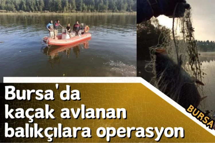 Bursa'da kaçak avlanan balıkçılara operasyon