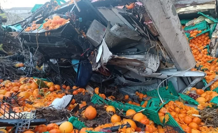 Bursa'da meyve yüklü kamyon dereye uçtu: 1 ölü