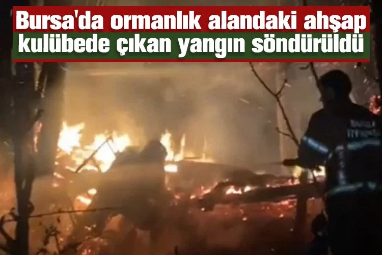 Bursa'da ormanlık alandaki ahşap kulübede çıkan yangın söndürüldü