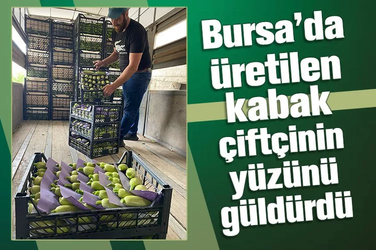 Bursa’da üretilen kabak çiftçinin yüzünü güldürdü