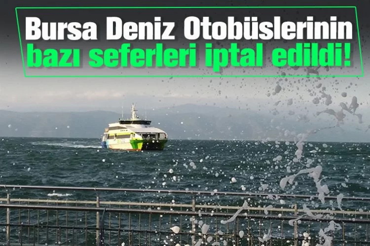Bursa Deniz Otobüslerinin bazı seferleri iptal edildi