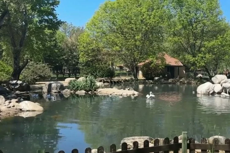 Bursa Hayvanat Bahçesi bayram tatilinde 61 bin 800 ziyaretçi ağırladı