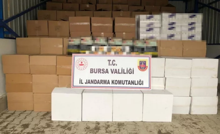 Bursa'da 2 ton kaçak tütün ele geçirildi