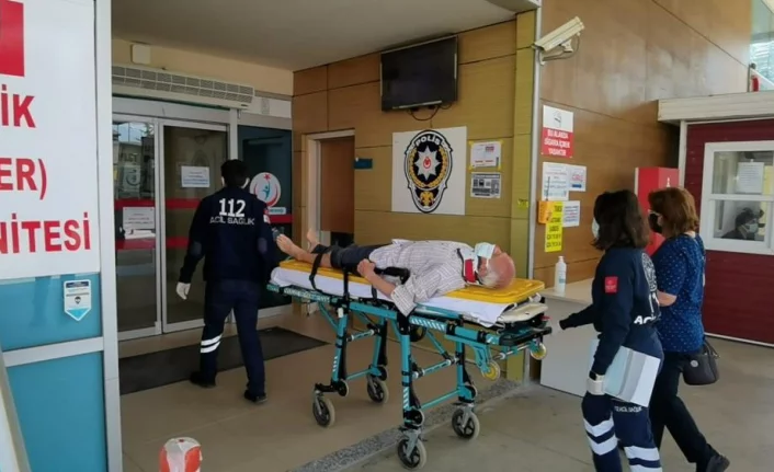Bursa'da ceviz ağacından düşen yaşlı adam ağır yaralandı