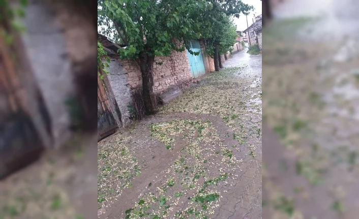 Bursa'da ceviz büyüklüğündeki dolu ekinlere zarar