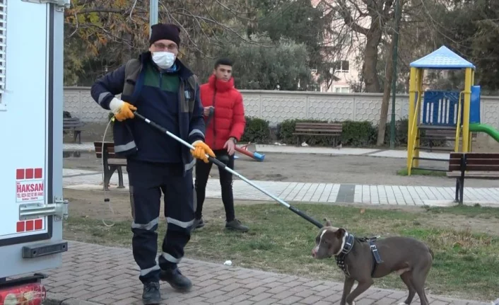 Bursa'da çocuk parkına terkedilen Pitbull'u kemeriyle yakaladı