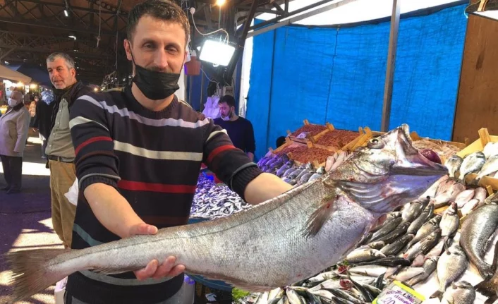 Bursa'da dev balığı görenler gözlerine inanamadı