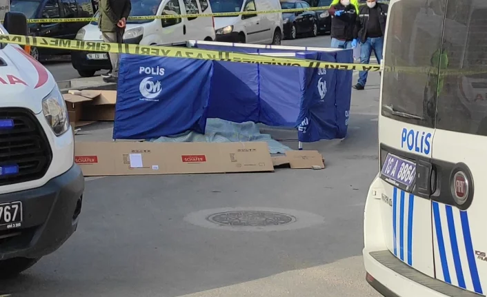 Bursa'da kamyonun çarptığı kadın öldü