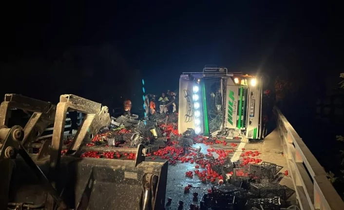 Bursa'da kamyon ile kamyonet çarpıştı: 1 ölü, 6 yaralı