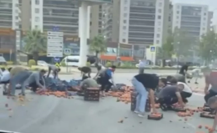 Bursa'da kamyonetten dökülen şeftaliler için herkes seferber oldu