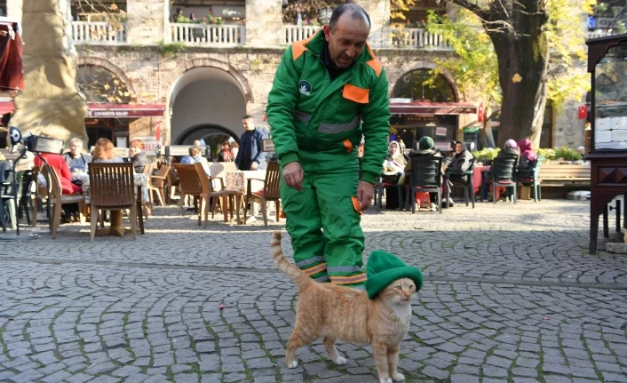 Bursa'da kediye bere taktı, sosyal medyada olay oldu