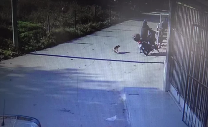 Bursa'da kendisini kovalayan köpeği motosikletiyle kovaladı, 2 kişiye çarpıp yere düştü
