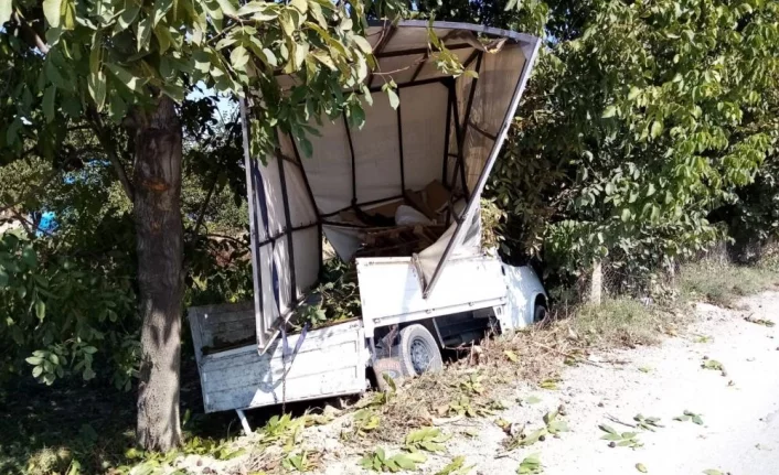 Bursa'da kontrolden çıkan kamyonet bahçeye daldı