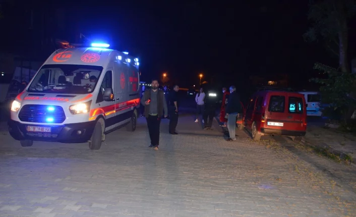 Bursa'da köpek saldırısından kaçtı kaza yaptı