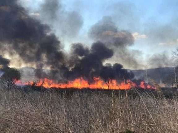 Bursa'da korkutan yangın: 60 dönüm arazi kül oldu