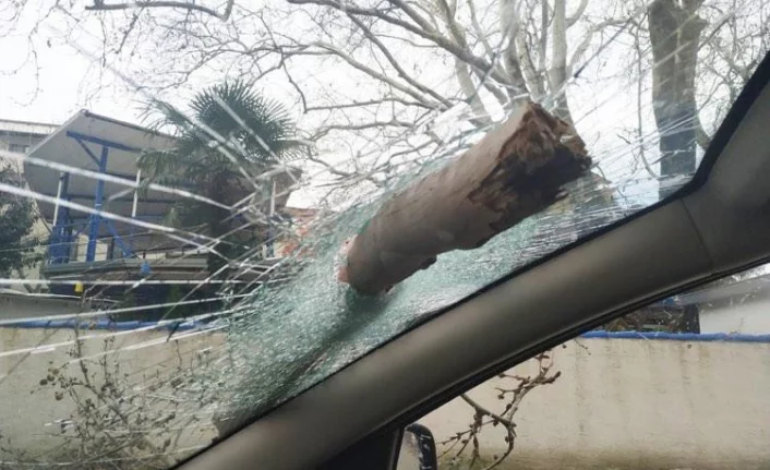 Bursa'da lodostan devrilen ağaç otomobilin camına ok gibi saplandı