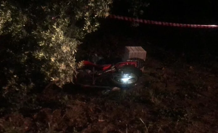Bursa'da motosiklet ile domuza çarpan şahıs hayatını kaybetti