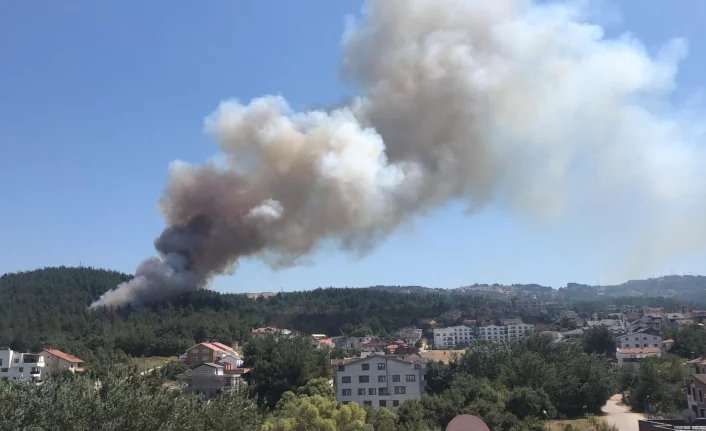 Bursa'da orman yangını! Alevler villalara yaklaşıyor...