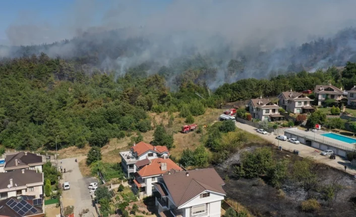 Bursa'da orman yangını ile ilgili bir kişi gözaltında!